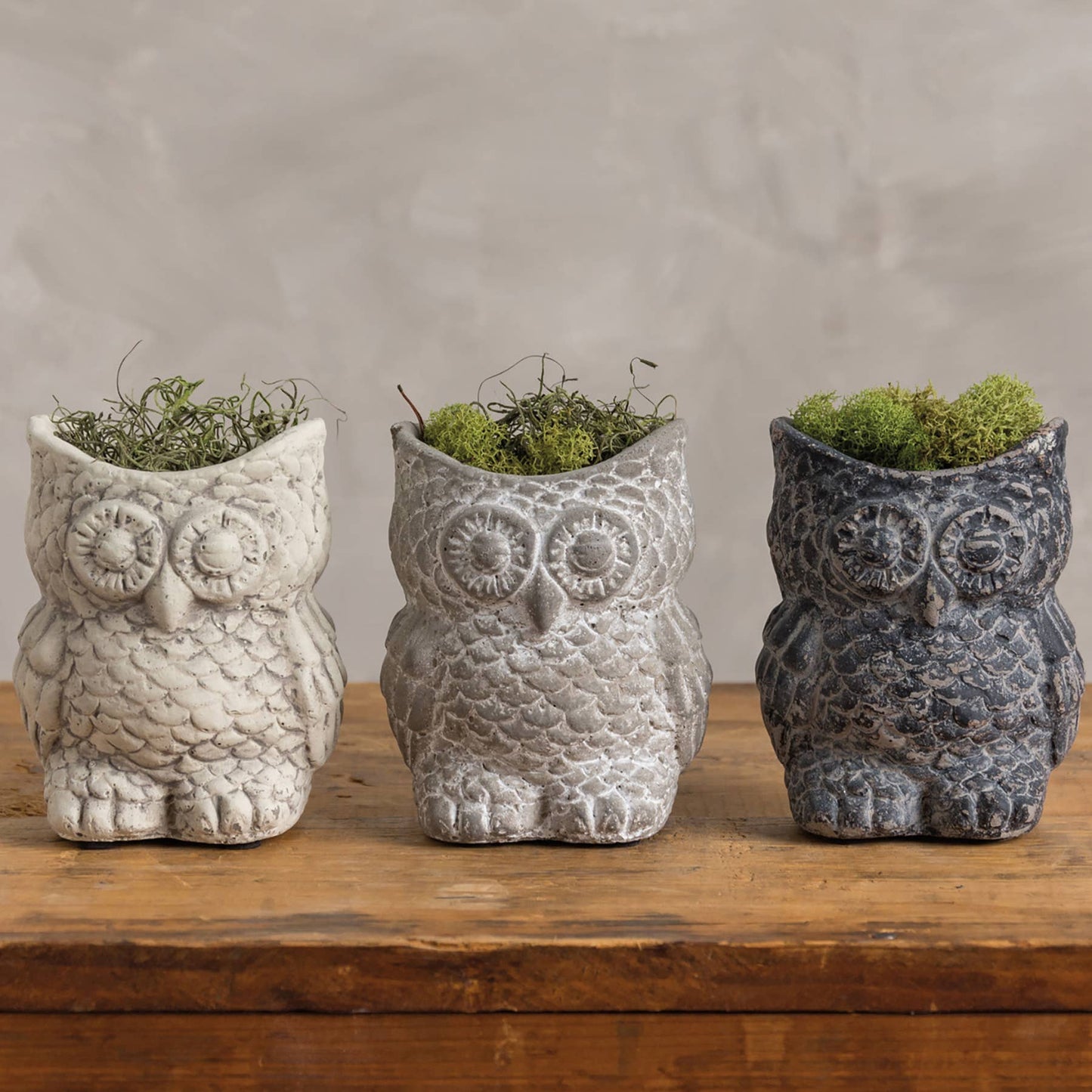 Cement Owl Planter Set